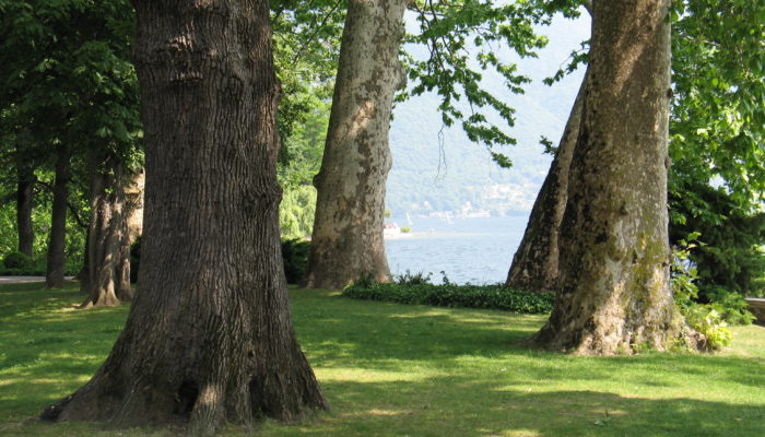 IMG_0020-700x400