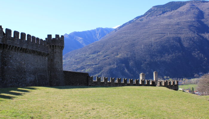 IMG_3552-700x400