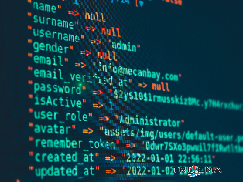 tritema_ch_side_analyse_application_security