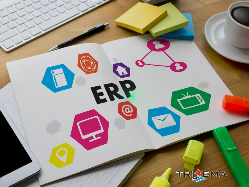 tritema_ch_side_erp_solutions
